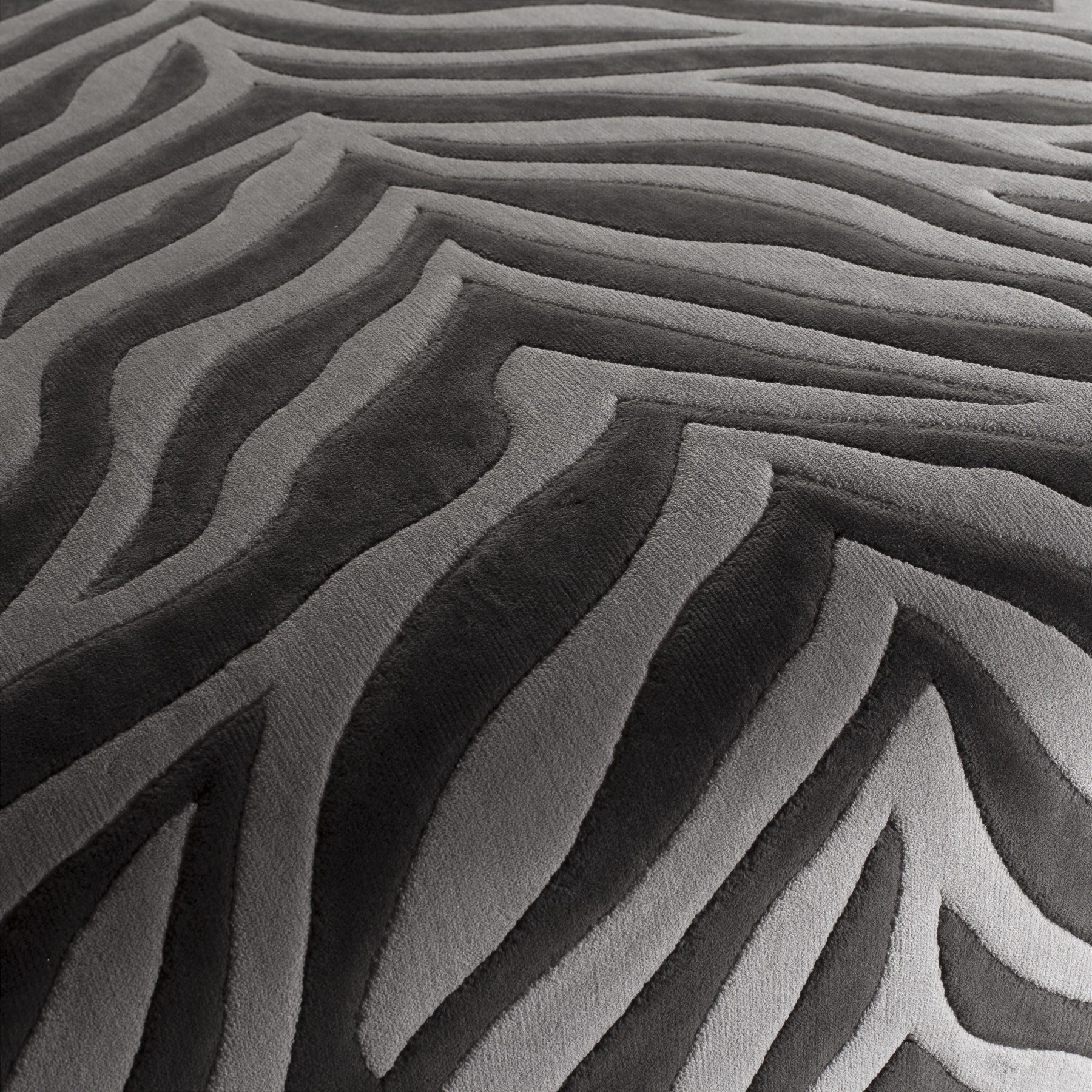 Chivasso Wild Shape