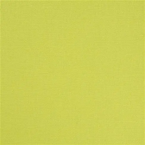 Pistachio