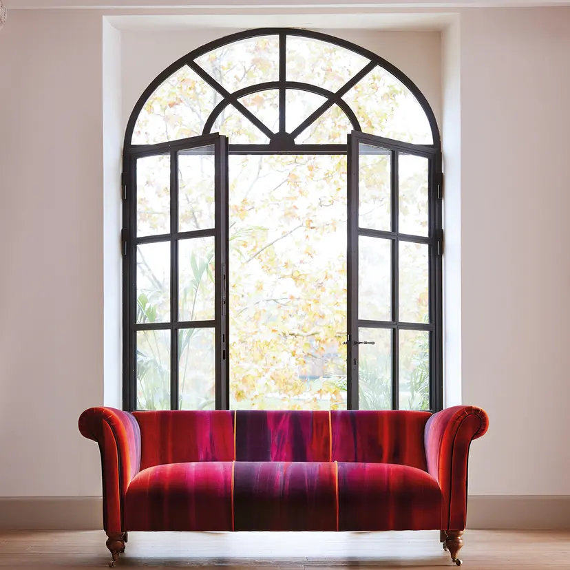 Harlequin Amazilia Velvets