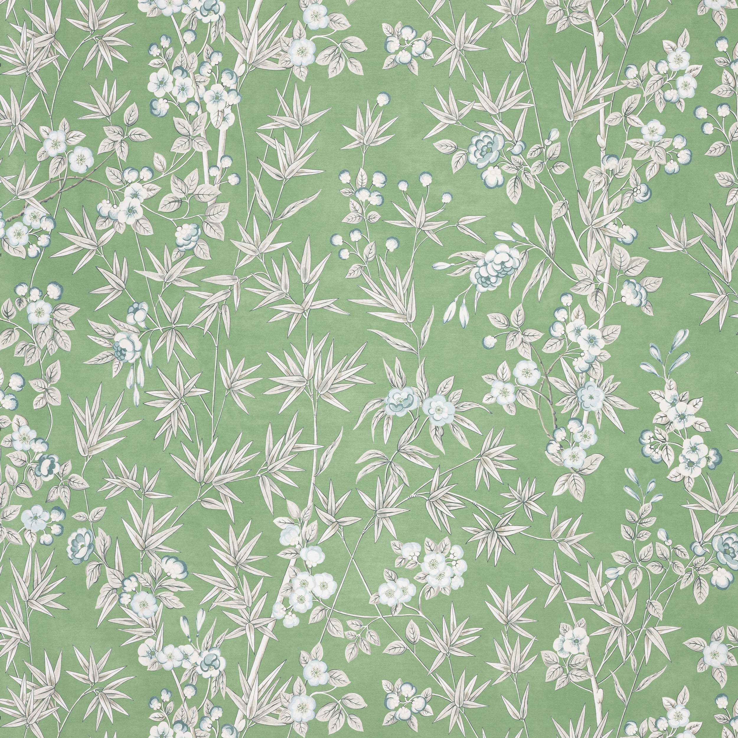 Manuel Canovas Haru Manuel Canovas Haru
