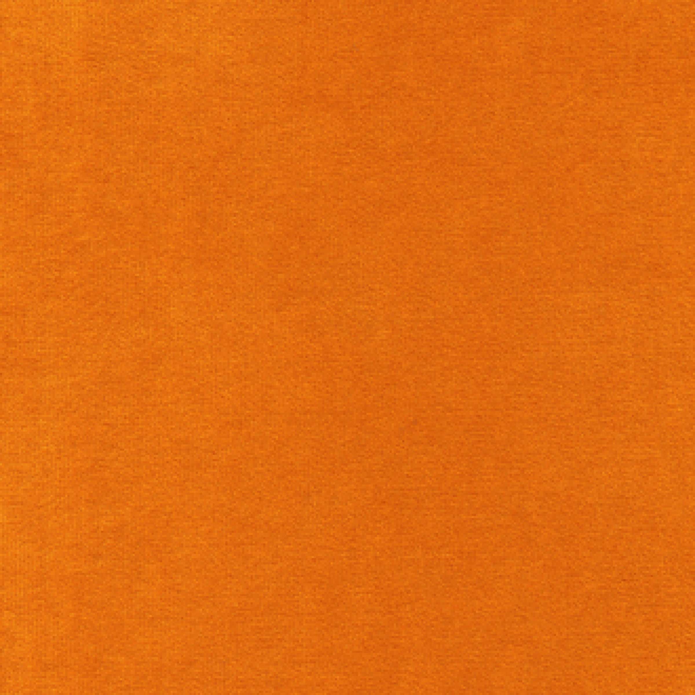 Ambassadrice à plein temps