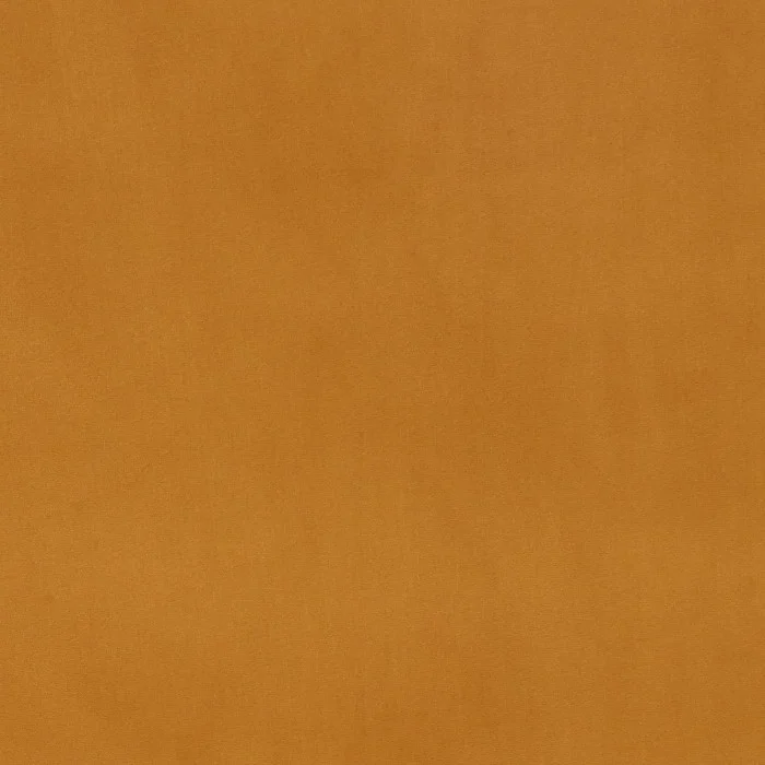 Ambre