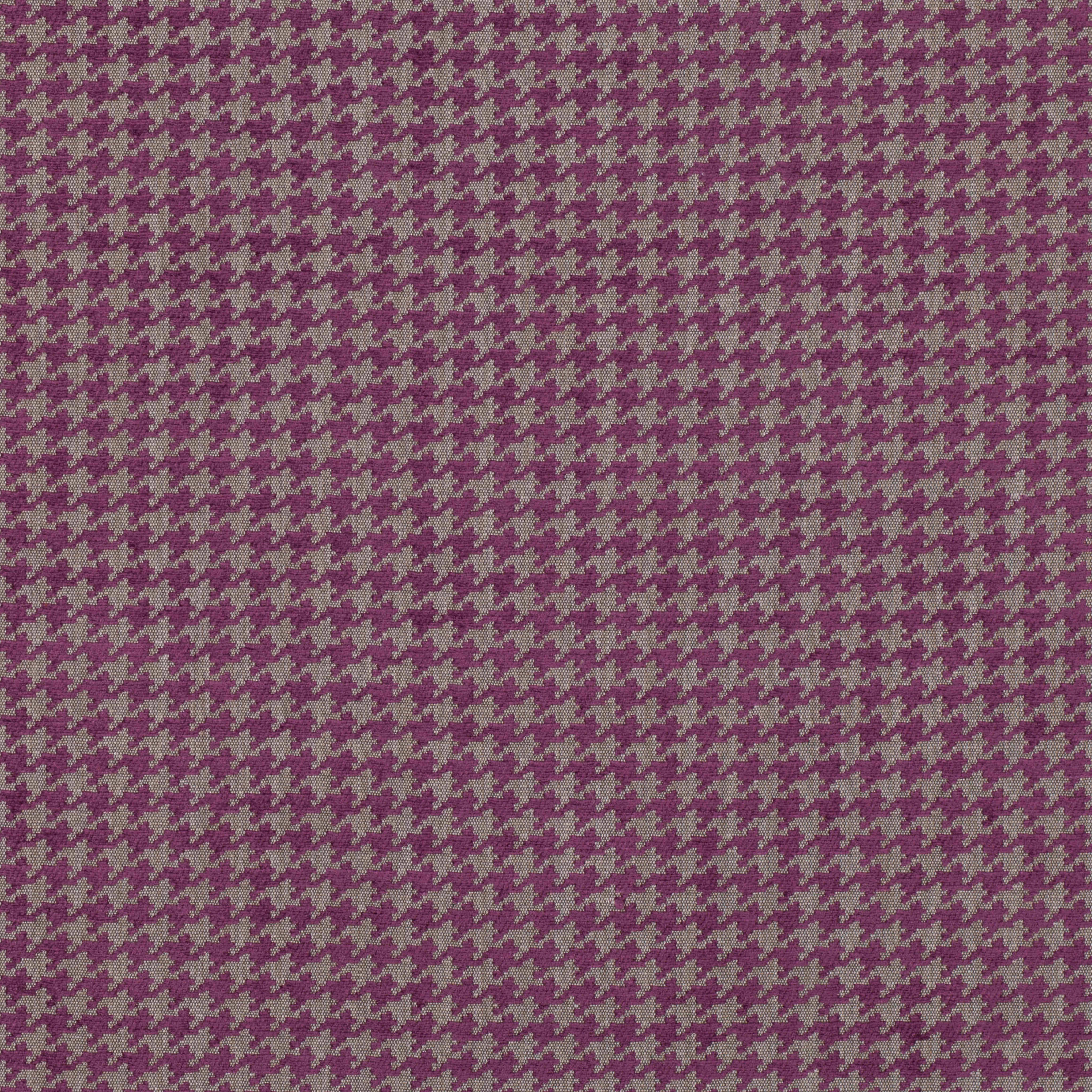Boysenberry