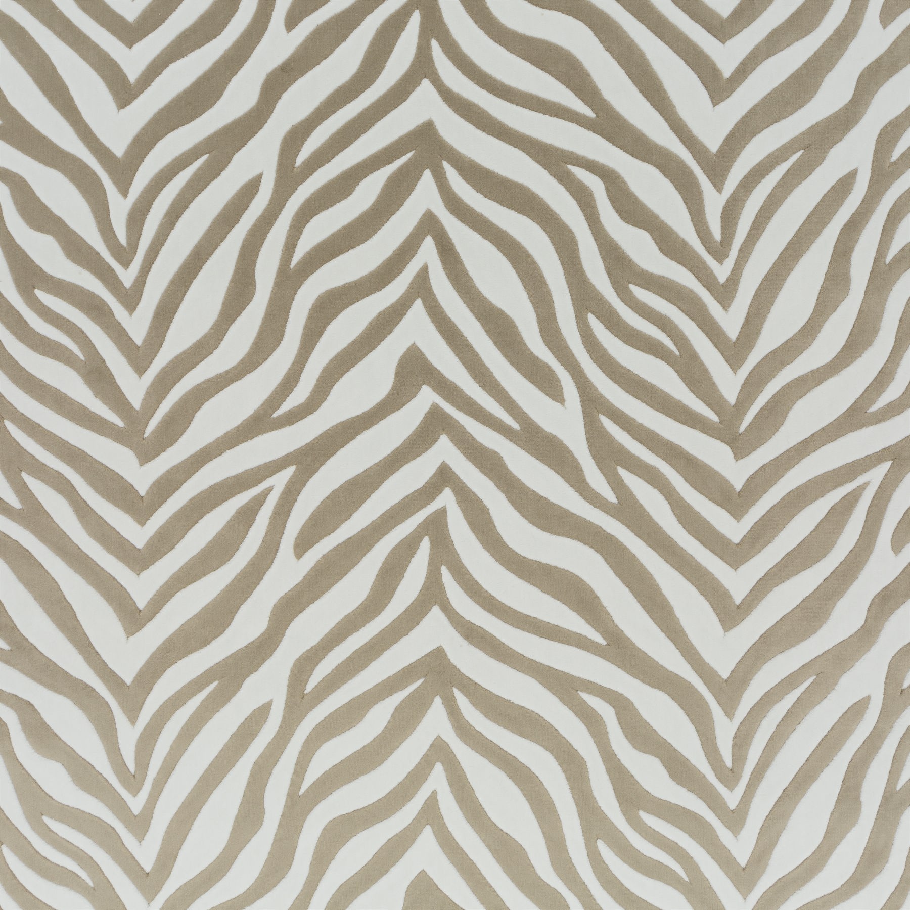 Chivasso Wild Shape