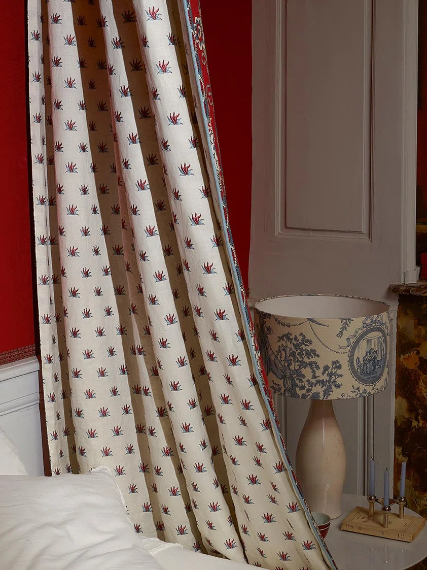 Braquenie Coulonges contrefond