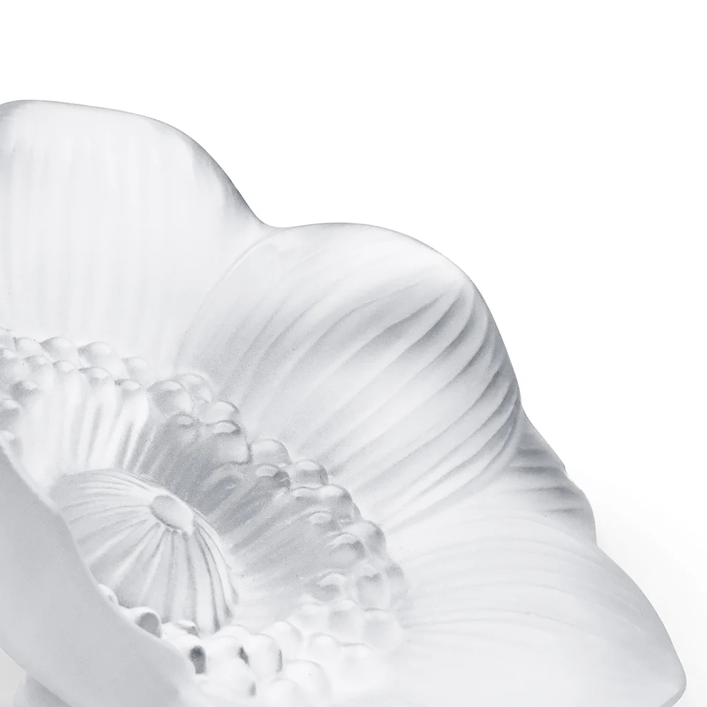 Lalique Anemone Small Sculpture