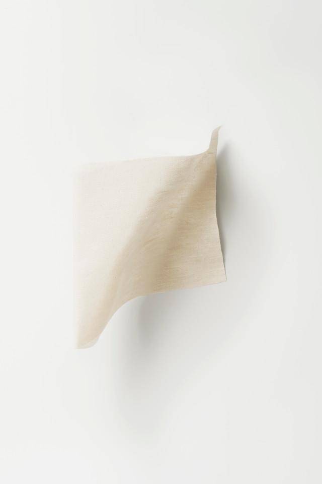 Dedar Wide Tussah Canvas