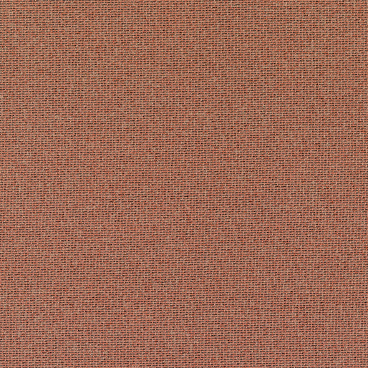 Fb. 0551
