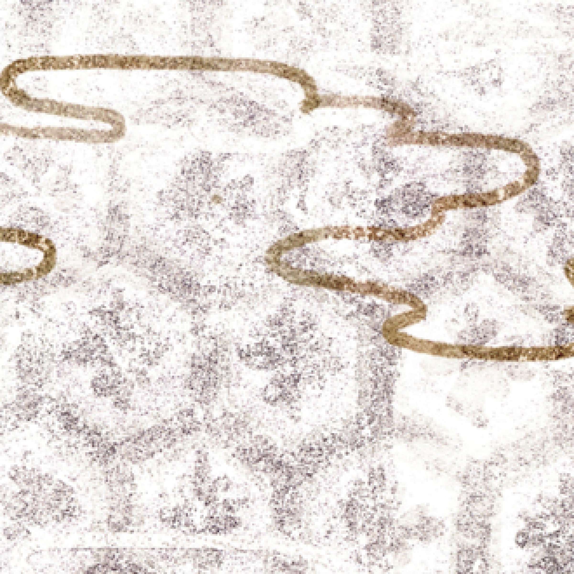 Rêveries d'un promeneur