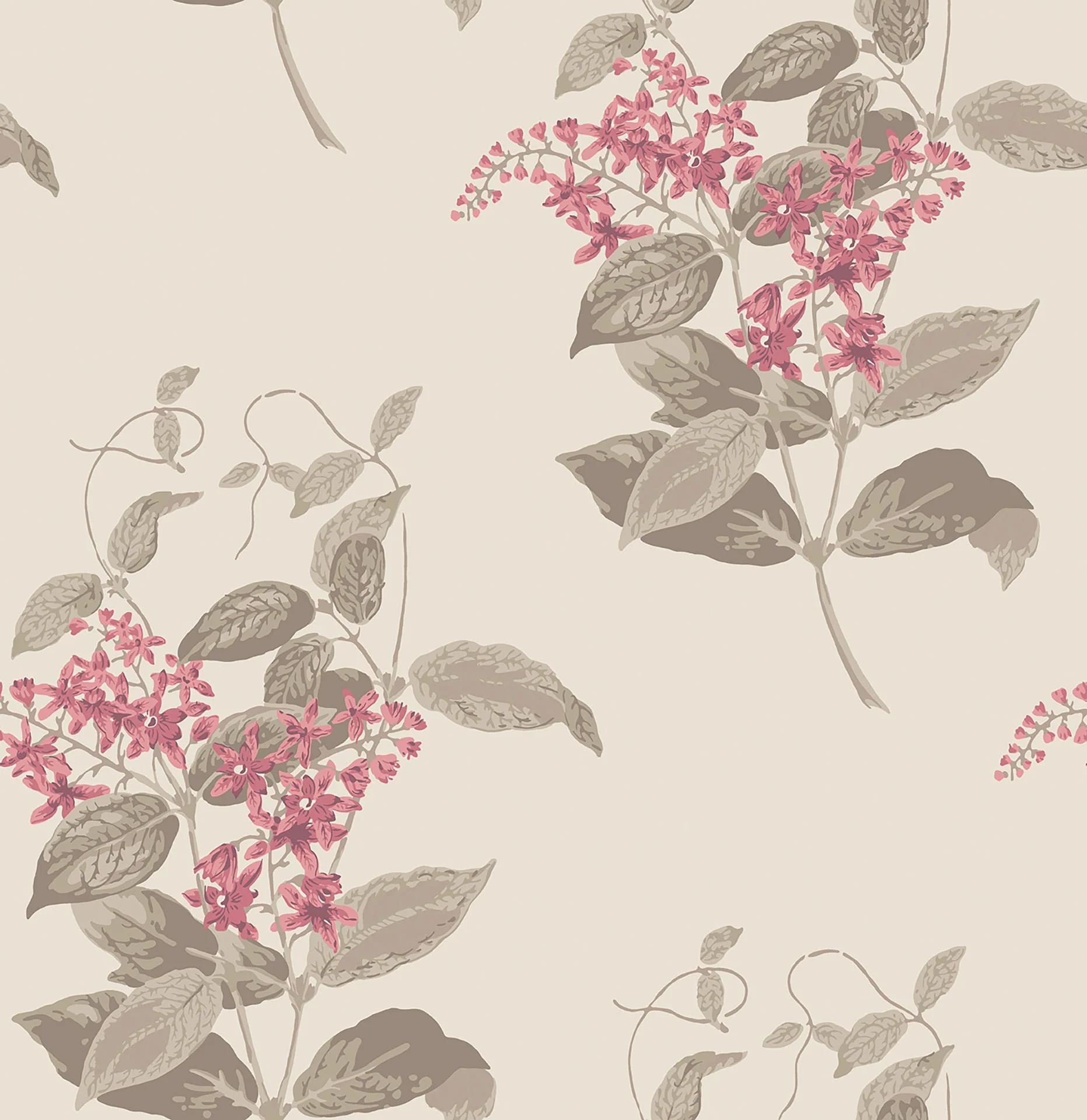 Fuchsia & Linen on Parchment