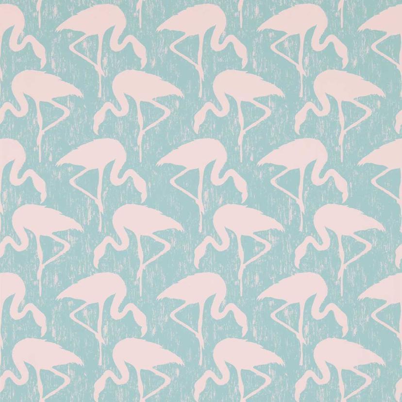 Turquoise Pink