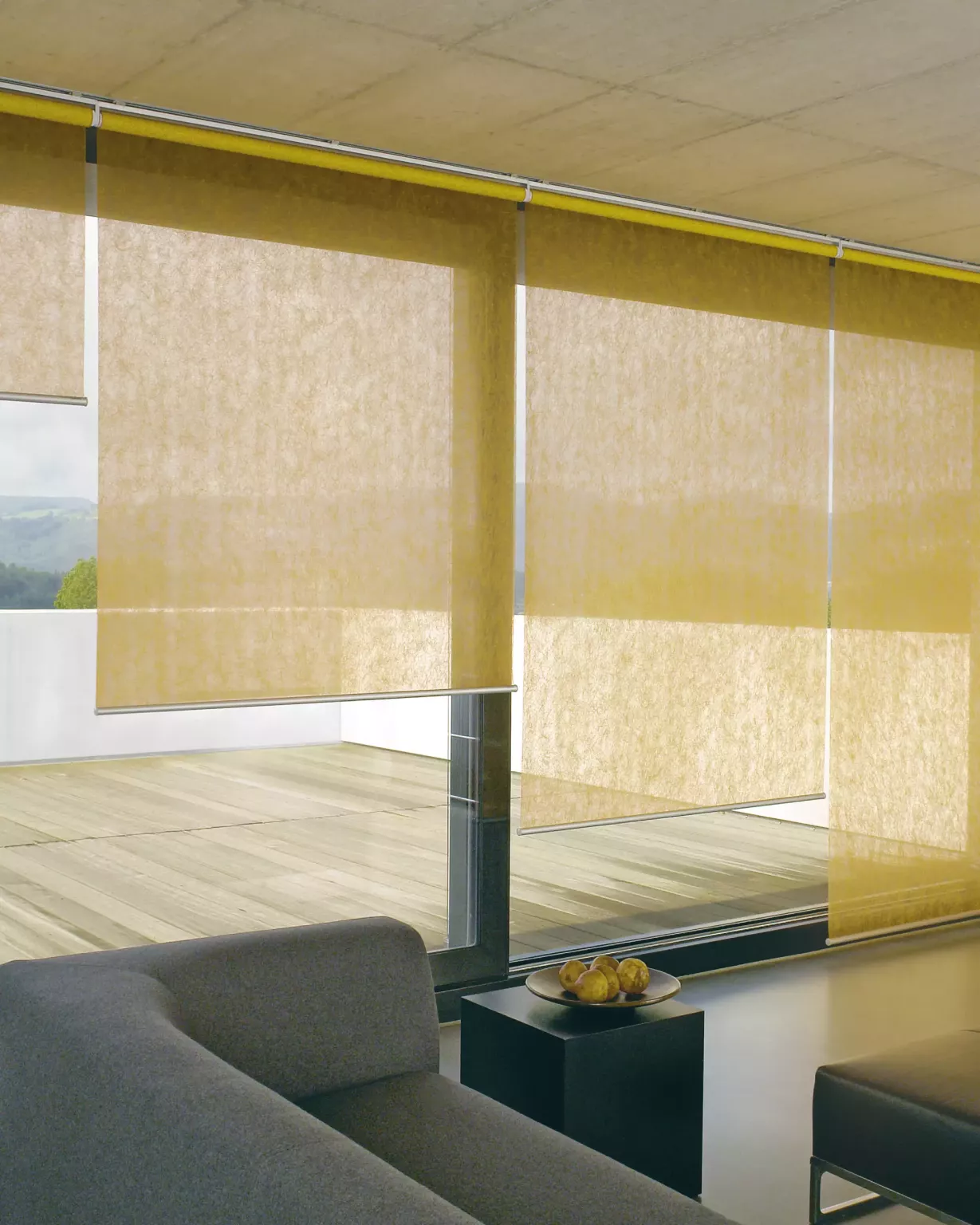 Création Baumann Spider FR II R