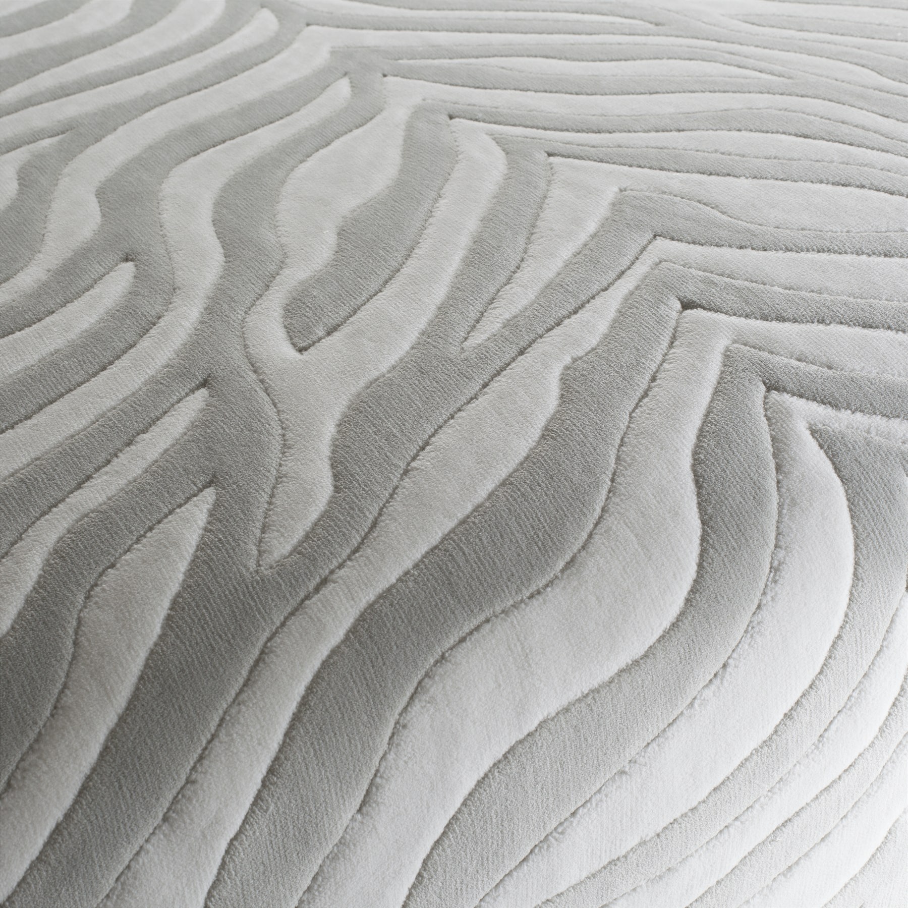 Chivasso Wild Shape