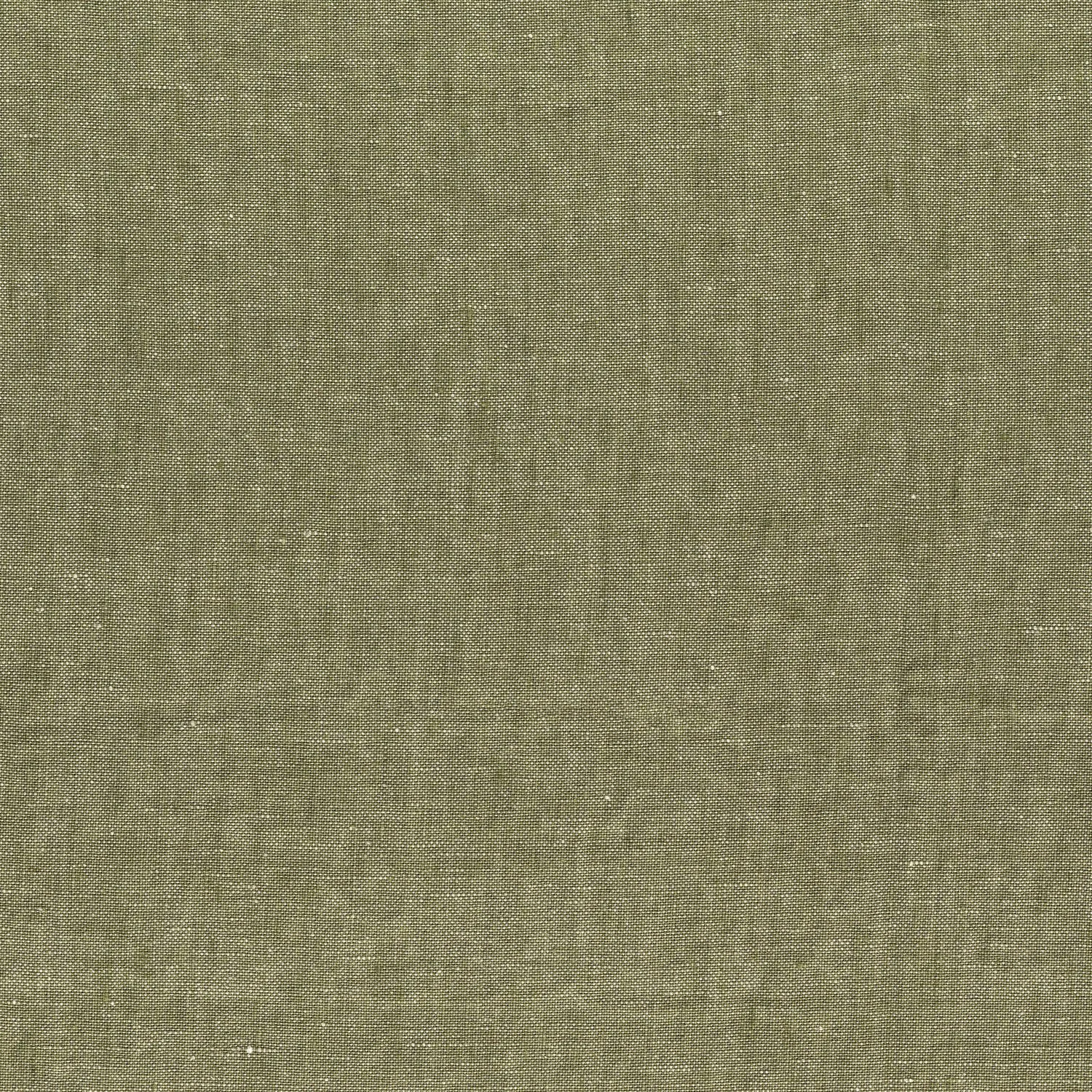Kaki
