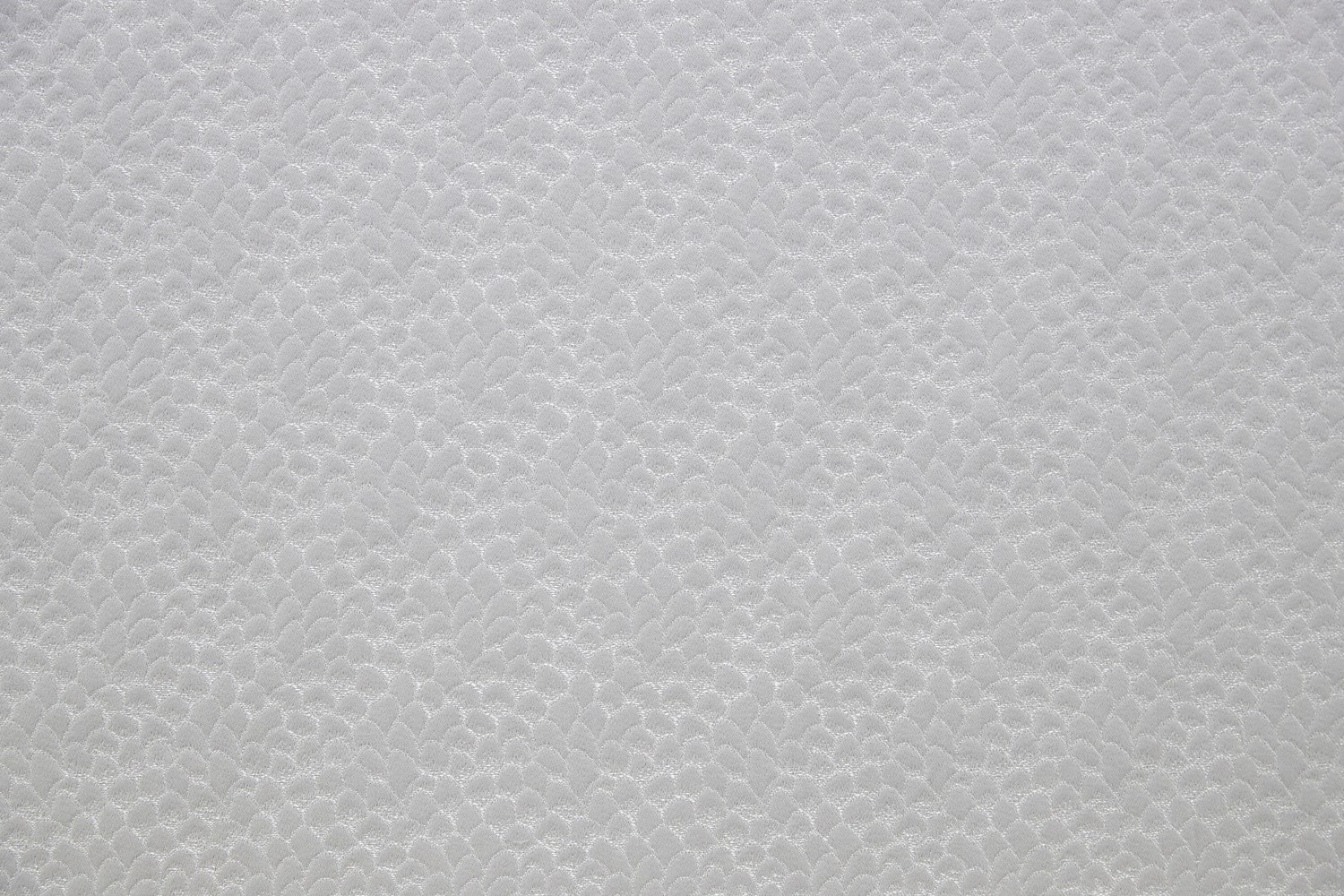 Lelievre Ecaille de Chine