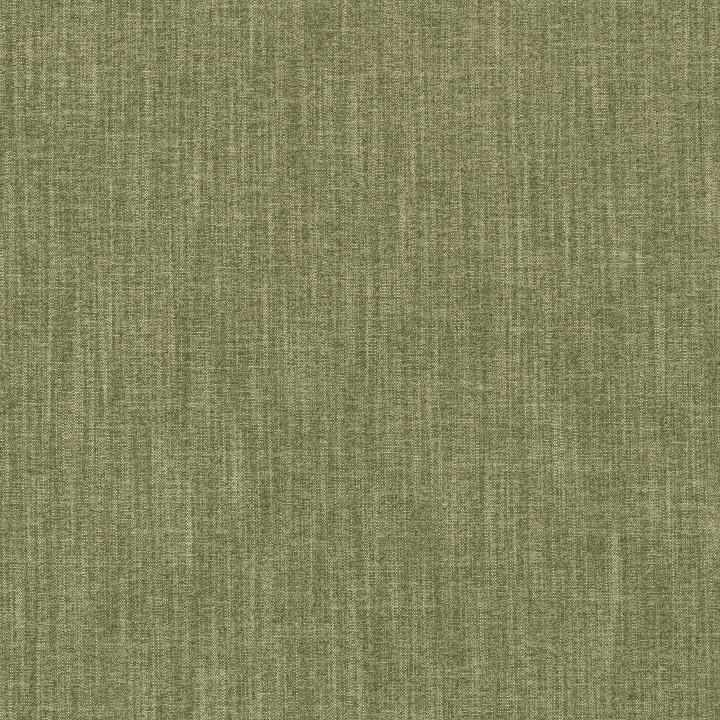 Moss