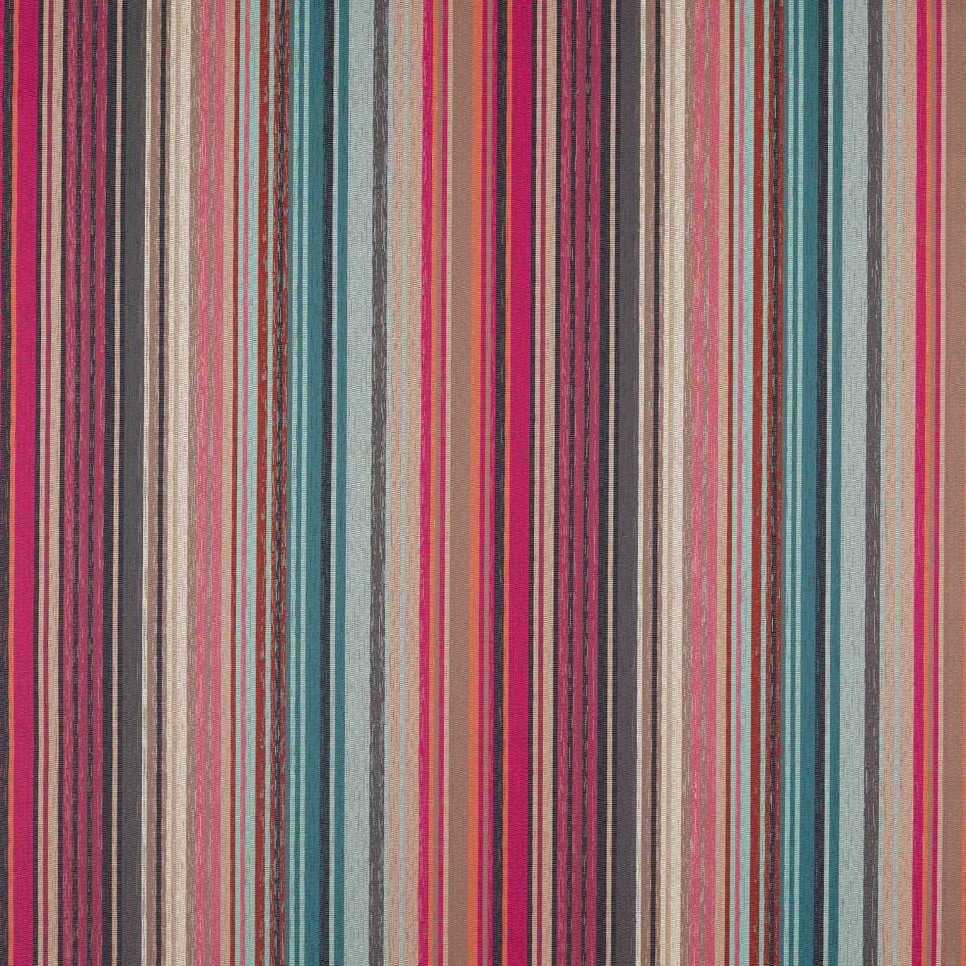 Harlequin Spectro Stripe