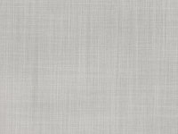 Feather Grey