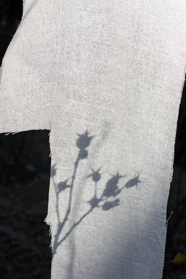 Dedar Wide Linen Antibes