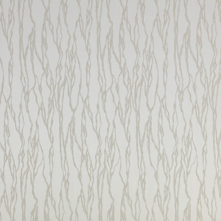 Mark Alexander Rivulet Mark Alexander Rivulet