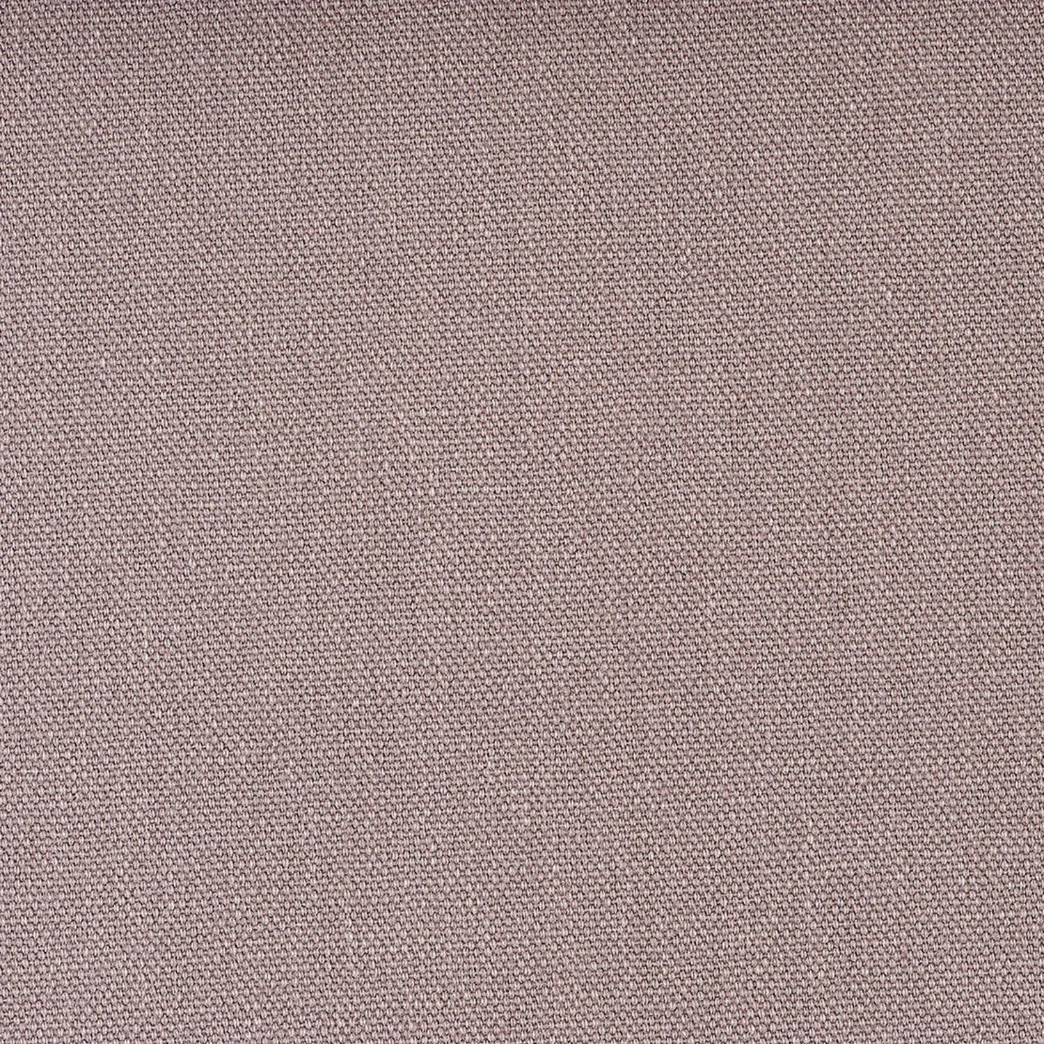 Gris 3