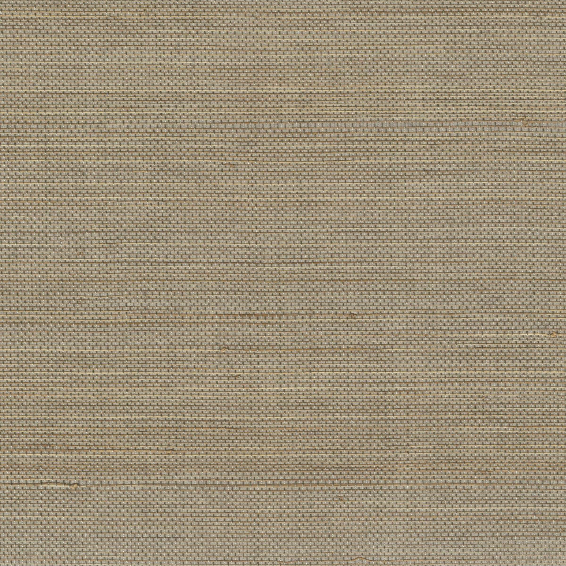 Apporter la lumière