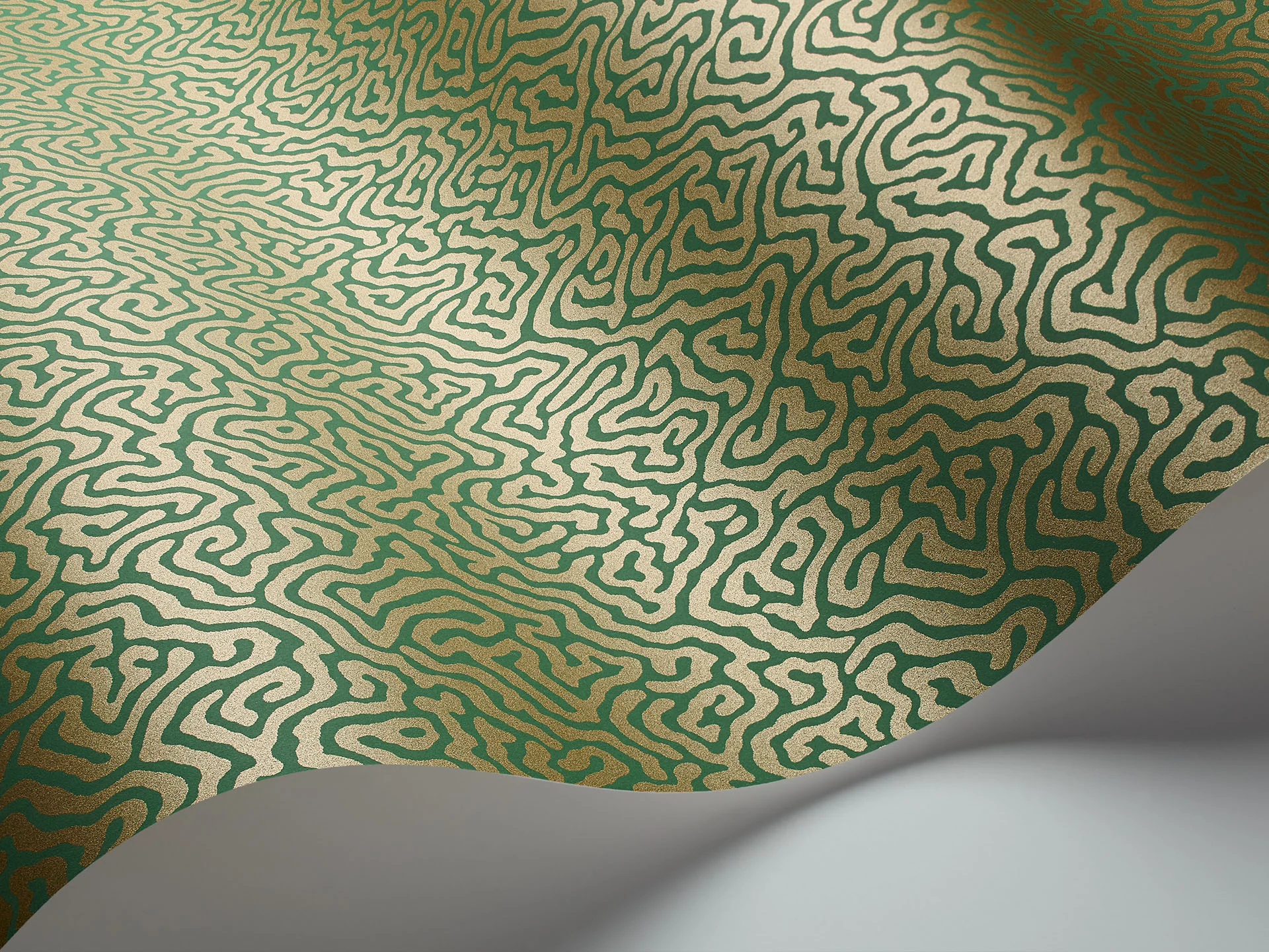 Cole & Son Vermicelli