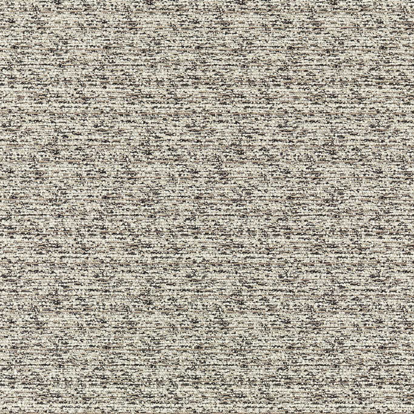 Clarke & Clarke Sven 