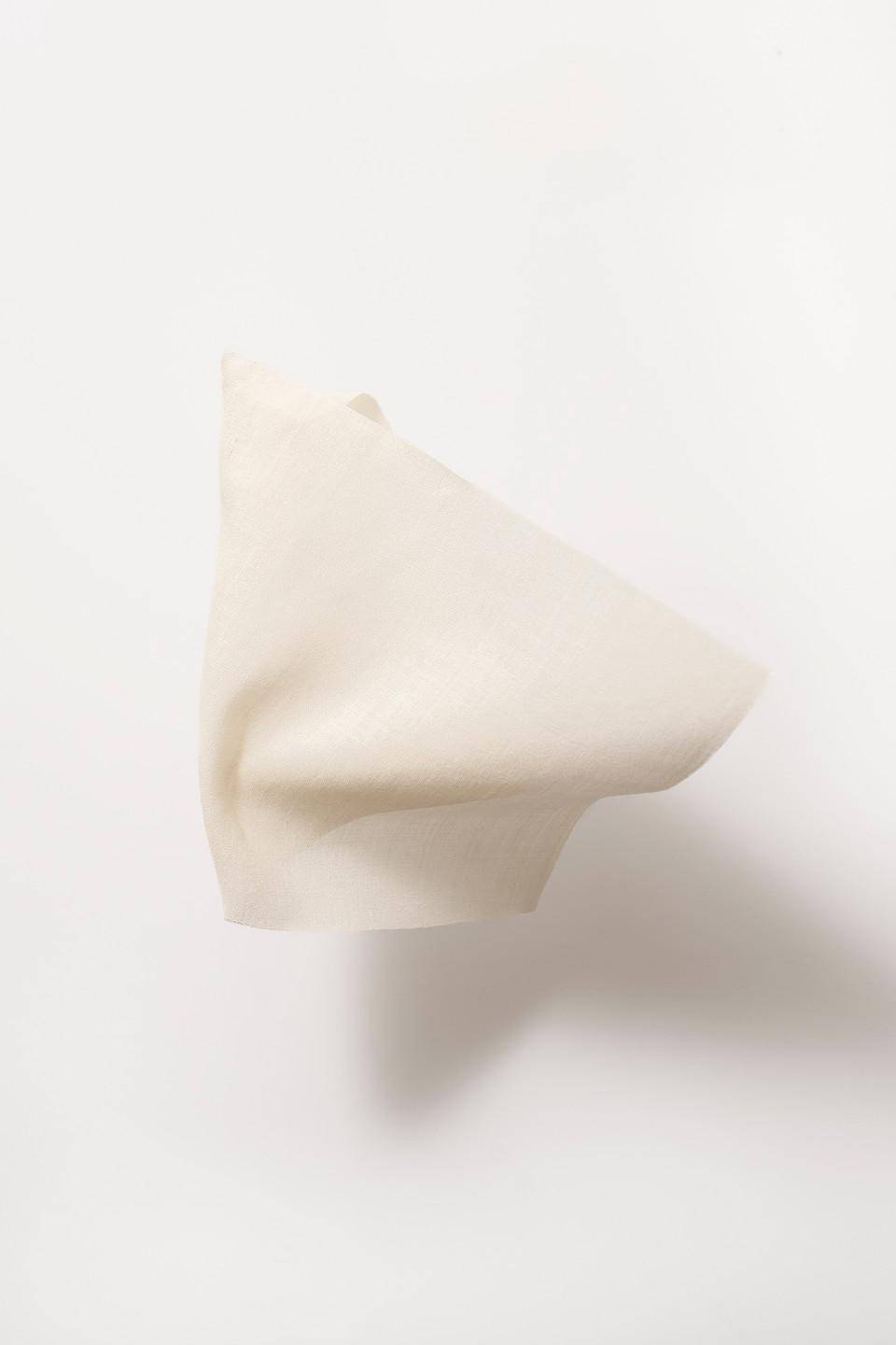 Dedar Wide Silk Tela
