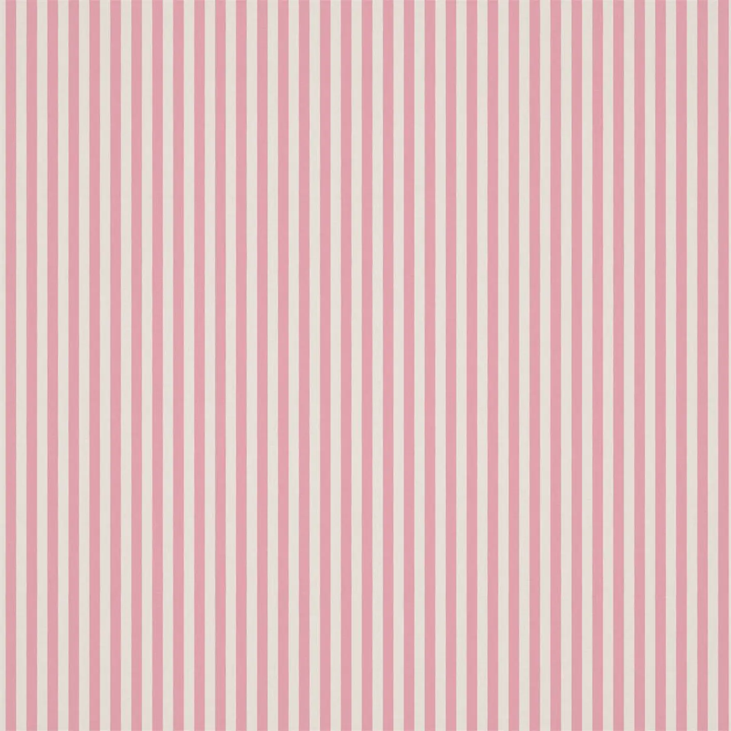 Harlequin Carnival Stripe