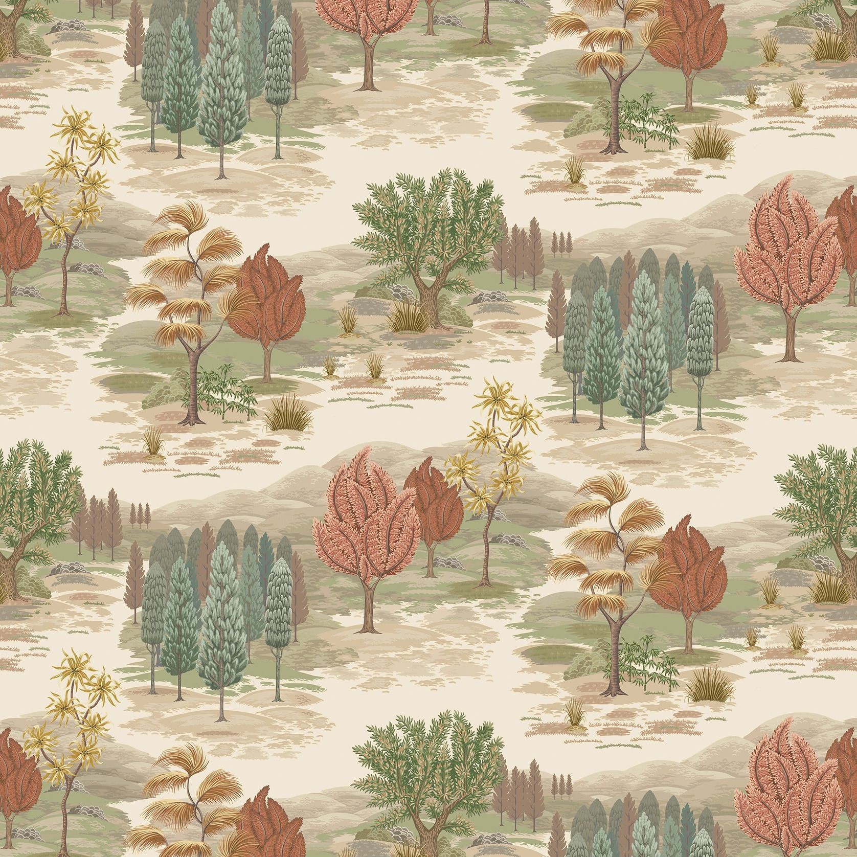 Olive / Terracotta