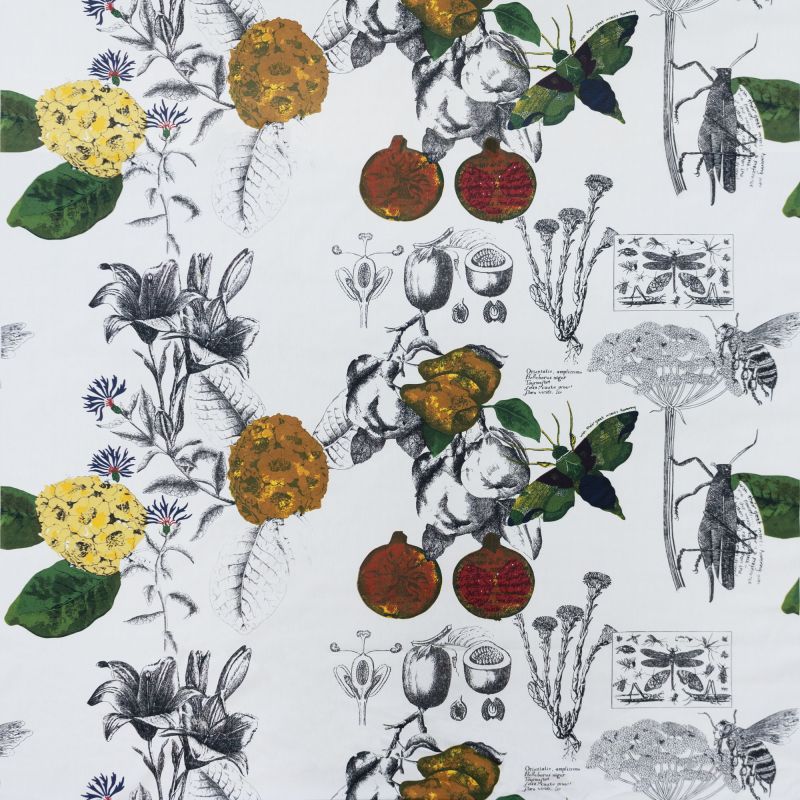 GDT_1313_001_Tela_Linneo_gastonydaniela_botanico_algodon_estampado_decoracion_800x800.jpg?ts=1752852662